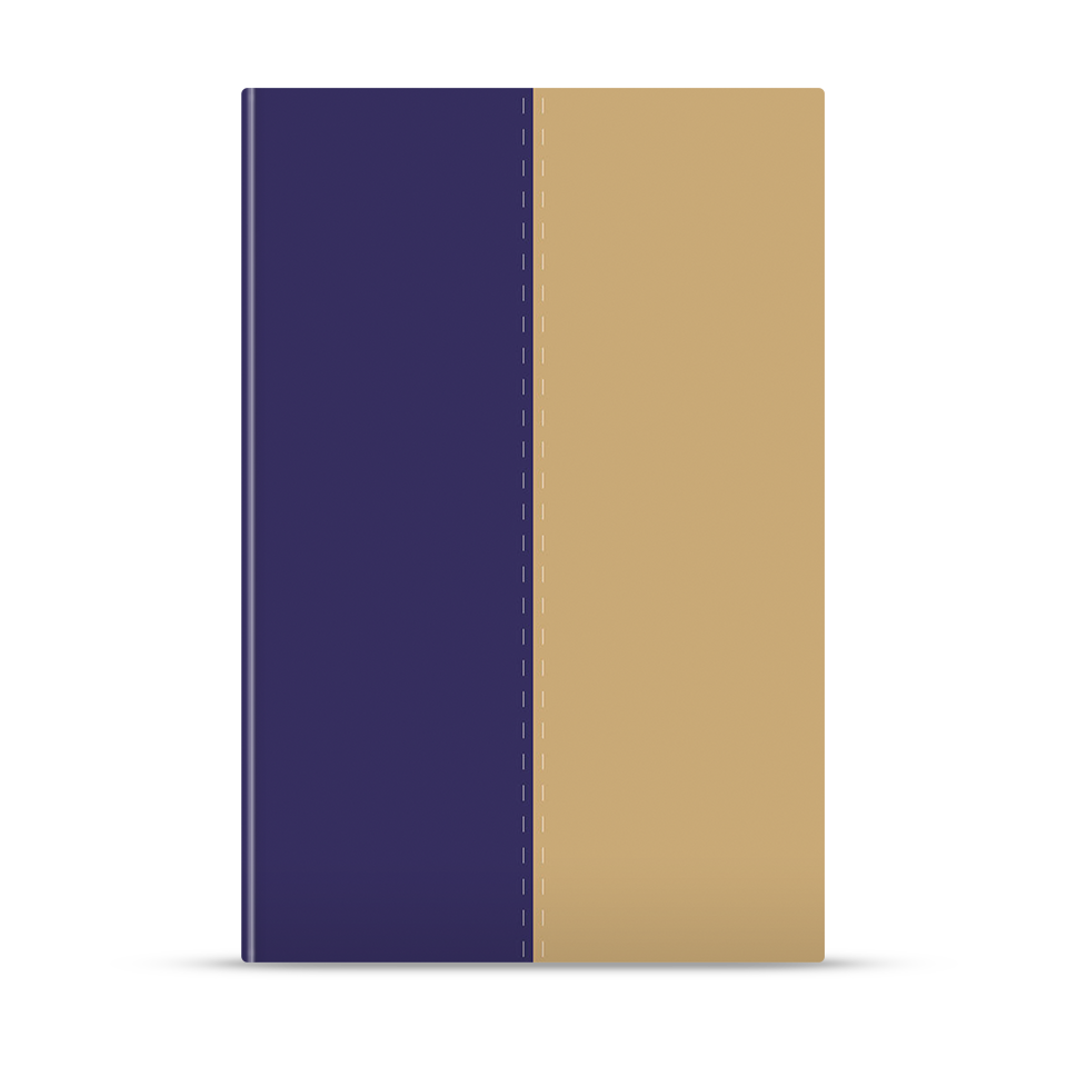 Biblia Bilingüe NVI/NIV – Biblia en español