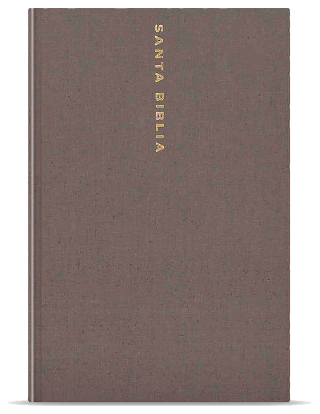 Santa Biblia NBLA Letra súper gigante