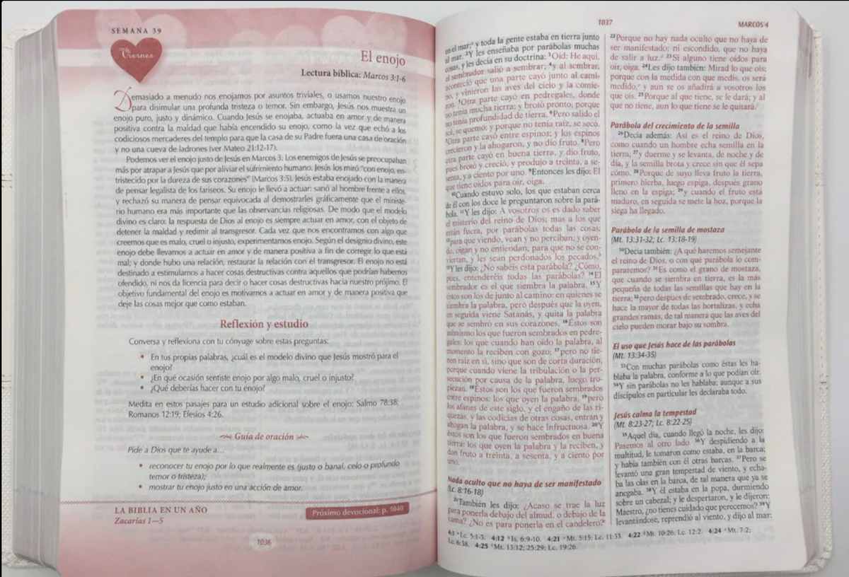 Biblia Devocional - Los lenguajes del amor RVR60 (Duotono Café)