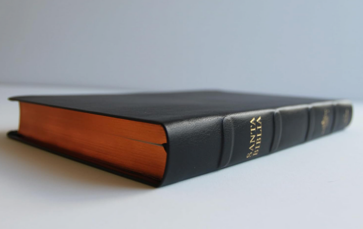 Biblia RVR 1960 letra grande tamaño manual, Piel Premier negro – Biblia en español – foto 3