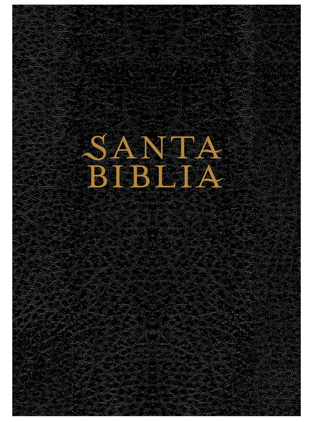Santa Biblia NTV, Edición súper gigante (Letra Roja, SentiPiel, Negro) (Spanish Edition)