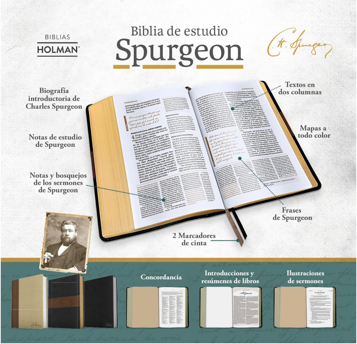 RVR 1960 Biblia de estudio Spurgeon, marrón claro, tela (Spanish Edition)