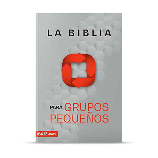Biblia para grupos pequeños
