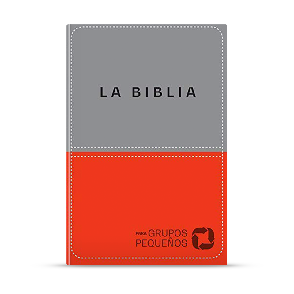 Biblia para grupos pequeños NBV de Lujo